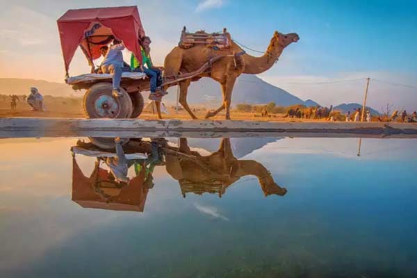 Jaipur Udaipur Pushkar Tour Package